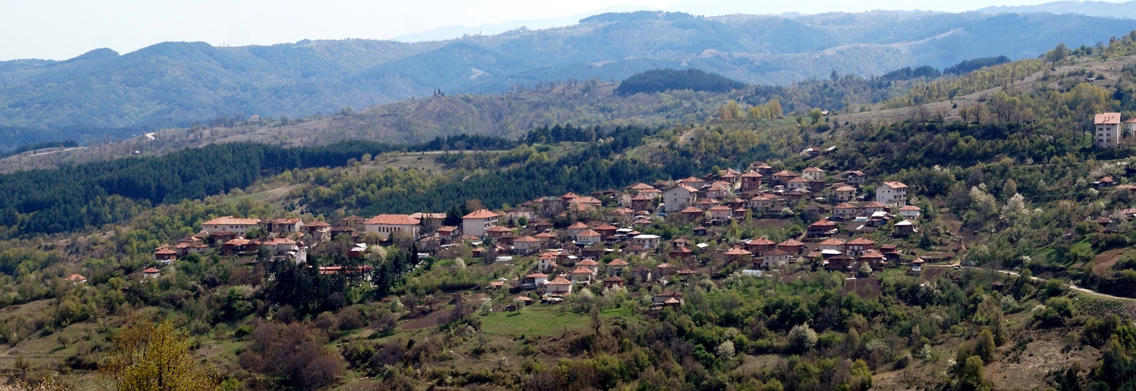 /assets/Naseleni mesta/tsaparevo/Panorama.JPG